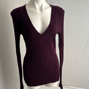 Express purple fitted v-neck sweater